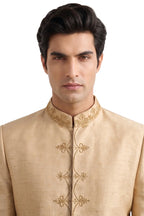 Mehshayan Prince Coat