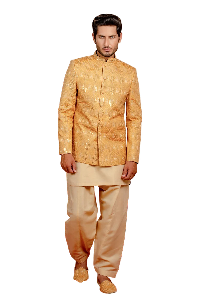 Mayer Prince Coat Main image