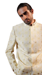 Zair Prince Suit