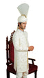 Amais Sherwani