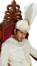 Amais Sherwani