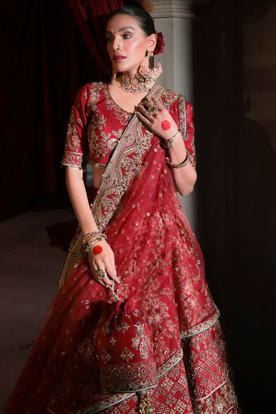 Amayra Lehnga Choli